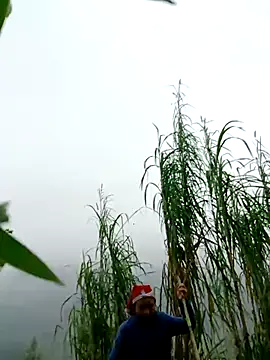 Snapshot of kemtuoi-sex chatting on 04/01/26, 02:56 kemtuoi-sex online show from 04/01/26, 02:56