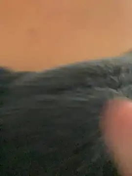    seusegredo online show from 02/04/26, 06:03