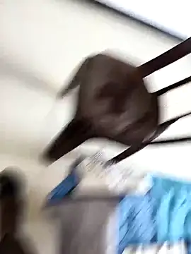 Snapshot of Chanderi19 chatting on 09/30/25, 09:25 Chanderi19 online show from 09/30/25, 09:25