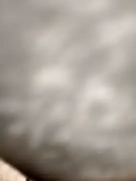 Snapshot of Chanderi19 chatting on 11/24/25, 03:17 Chanderi19 online show from 11/24/25, 03:17