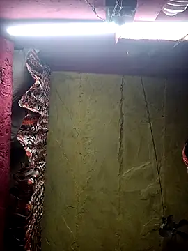 Suman ji1 online show from 11/25/25, 01:44