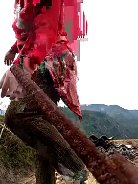 SSexykute3456 online show from 11/24/25, 01:49