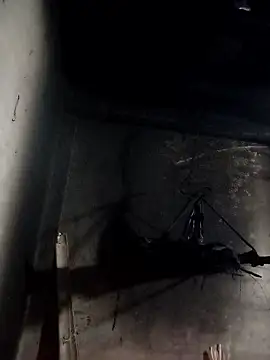 Dung x online show from 01/10/26, 01:02