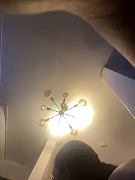 SienaWild online show from 11/02/25, 04:15