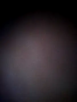 thehotlady online show from 10/24/25, 08:44