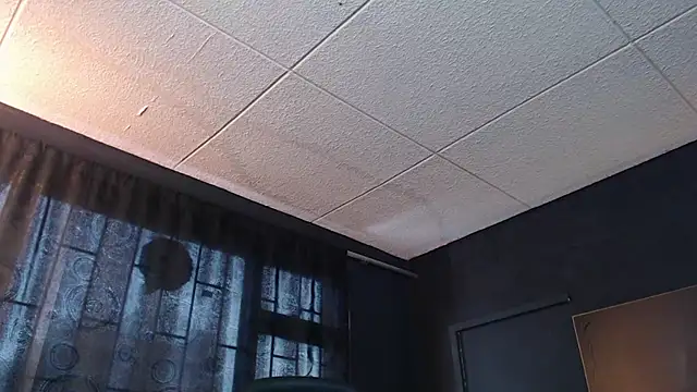 RichardMilleer online show from 10/31/25, 02:07