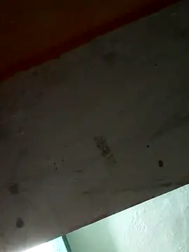 Sort xr12 online show from 12/17/25, 02:56