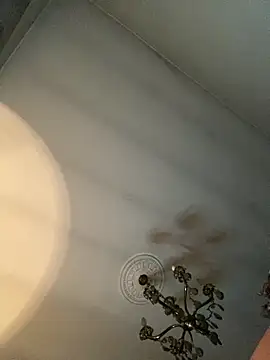 Snapshot of STRIPsegale chatting on 02/17/26, 09:43 STRIPsegale online show from 02/17/26, 09:43