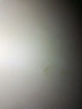 BigD Mikee online show from 12/17/25, 04:46