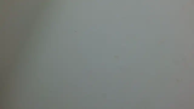 Snapshot of cristal1609 chatting on 05/14/26, 01:07 cristal1609 online show from 05/14/26, 01:07