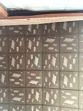 pualldu online show from 11/23/25, 03:06