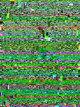 Alan18cmsafado online show from 09/22/25, 03:41