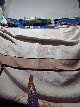 Snapshot of calntt28 chatting on 02/12/26, 02:12 calntt28 online show from 02/12/26, 02:12