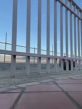 liahouses online show from 09/28/25, 09:53