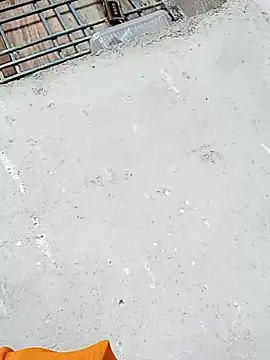 Rupali ji online show from 12/17/25, 10:21