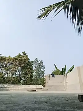 reya743 online show from 02/03/26, 09:47