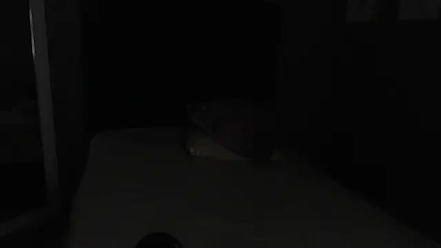 Snapshot of Vic_Taylor chatting on 11/07/25, 12:43 Vic Taylor online show from 11/07/25, 12:43