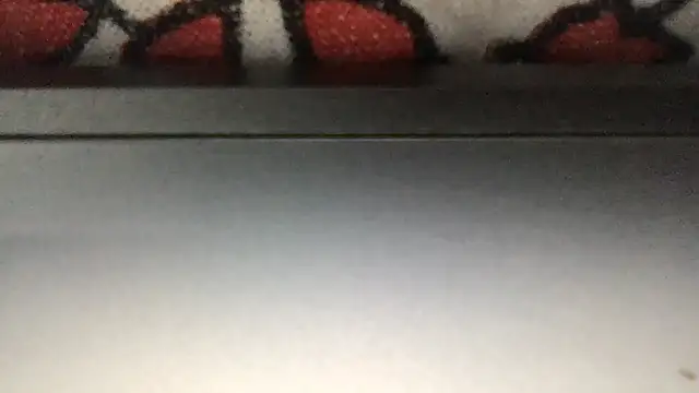 paula19800 online show from 11/25/25, 06:19