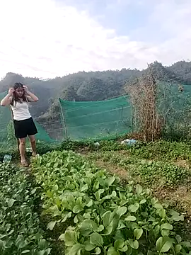 Meomeo-meo online show from 11/21/25, 08:35