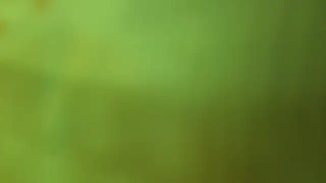 katiaa lovv online show from 06/17/26, 12:29