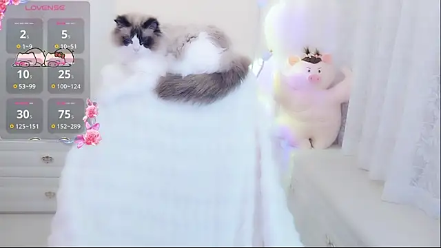 Snapshot of Coco-Di chatting on 05/09/26, 01:44 Coco-Di online show from 05/09/26, 01:44