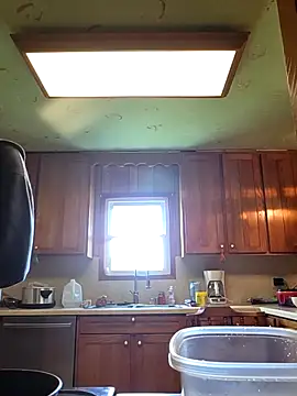 bear8t online show from 04/20/26, 05:26