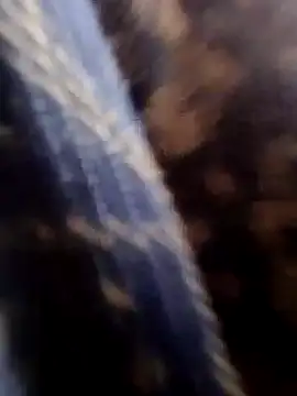 Snapshot of Rs_sonam chatting on 01/18/26, 04:05 Rs sonam online show from 01/18/26, 04:05