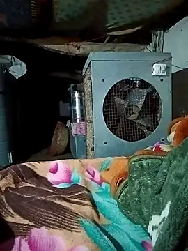 Snapshot of Lona2525 chatting on 02/16/26, 08:38 Lona2525 online show from 02/16/26, 08:38