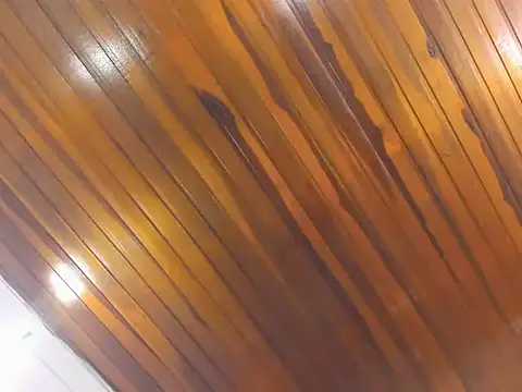 AliceCat 01 online show from 11/14/25, 04:33