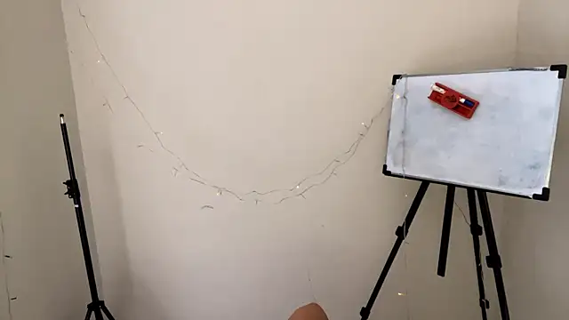 CarollFalick online show from 11/25/25, 05:29