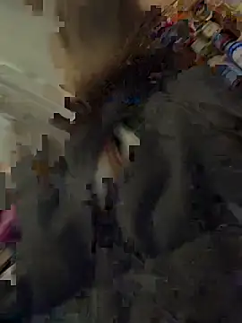 silentasachurchmouse online show from 12/03/25, 04:16