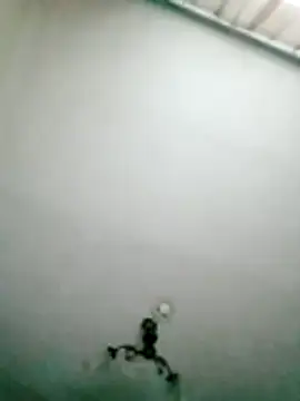 Apeesynka55211 online show from 06/11/26, 04:49