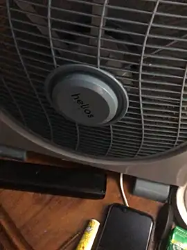 Snapshot of -bunny06 chatting on 10/02/25, 07:10 -bunny06 online show from 10/02/25, 07:10