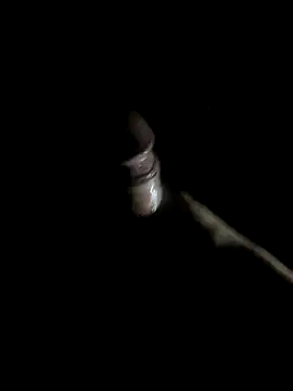 Snapshot of -bunny06 chatting on 10/10/25, 09:52 -bunny06 online show from 10/10/25, 09:52