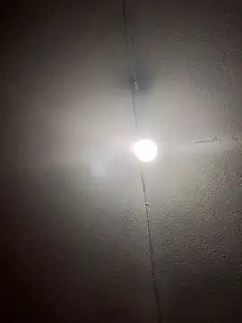 RAJV  online show from 10/14/25, 12:44