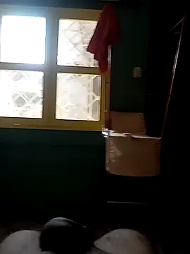 Snapshot of Roberto27052 chatting on 10/29/25, 03:47 Roberto27052 online show from 10/29/25, 03:47