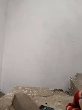 PEEHU-50 online show from 11/28/25, 03:20