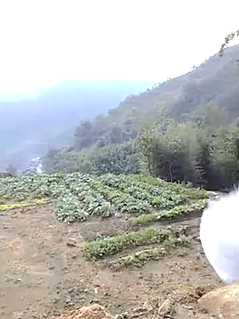 Bum 538 online show from 11/23/25, 12:21