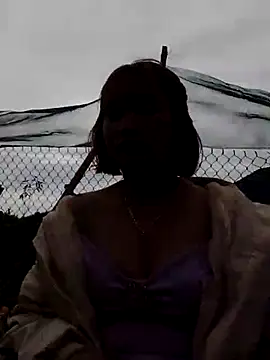 Bum 538 online show from 12/17/25, 02:28