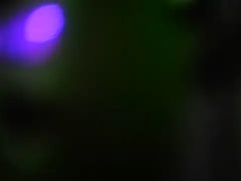 KissYoU41F online show from 06/25/26, 11:42