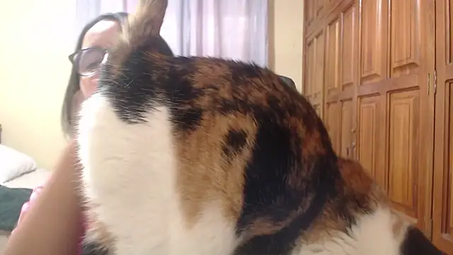 Snapshot of Venus_cat_ chatting on 02/08/26, 09:18 Venus cat online show from 02/08/26, 09:18