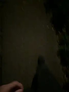 ncjuice  online show from 10/31/25, 10:00