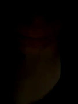 Snapshot of pleasedontpressaredburton chatting on 11/14/25, 01:04 pleasedontpressaredburton online show from 11/14/25, 01:04