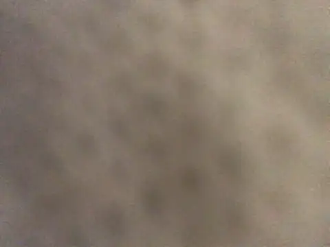 Snapshot of pleasedontpressaredburton chatting on 01/16/26, 02:54 pleasedontpressaredburton online show from 01/16/26, 02:54