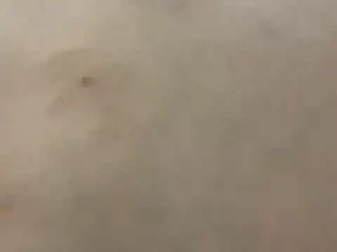 Snapshot of pleasedontpressaredburton chatting on 02/28/26, 03:29 pleasedontpressaredburton online show from 02/28/26, 03:29