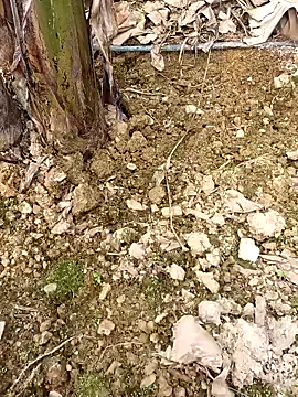 Sikici0734 online show from 02/24/26, 09:40