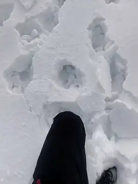 Snapshot of Sert_erkek21_ysm chatting on 01/06/26, 01:15 Sert erkek21 ysm online show from 01/06/26, 01:15