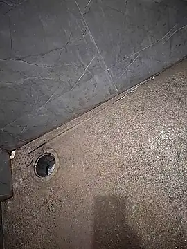 Snapshot of 665460 chatting on 10/11/25, 10:36 665460 online show from 10/11/25, 10:36