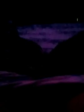 veintitres23 online show from 11/11/25, 07:52