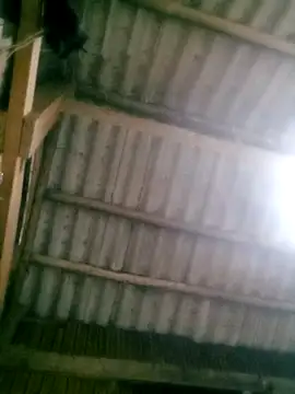 Ducky27021991 online show from 10/18/25, 12:17